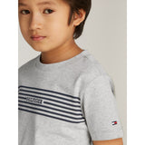 Tommy Hilfiger Light Grey Htr / Navy Stripes Monotype Print Stripe Reg T-Shirt