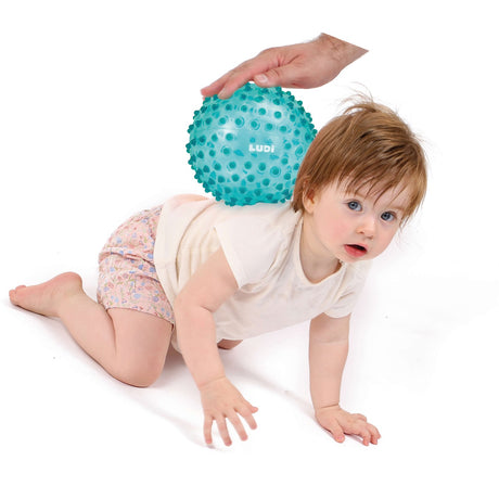 LUDI® Sansebold - Blå