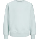 Jack & Jones Junior Skylight Jorvesterbro Sweatshirt