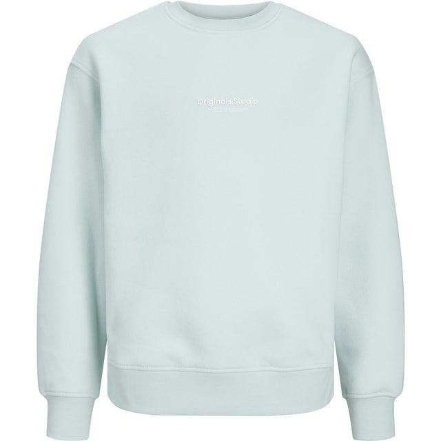 Jack & Jones Junior Skylight Jorvesterbro Sweatshirt