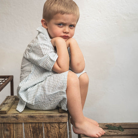 That's Mine Blue Stripe Isa Shorts