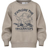 Name It Pure Cashmere Triceratops Vion Regular Sweatshirt