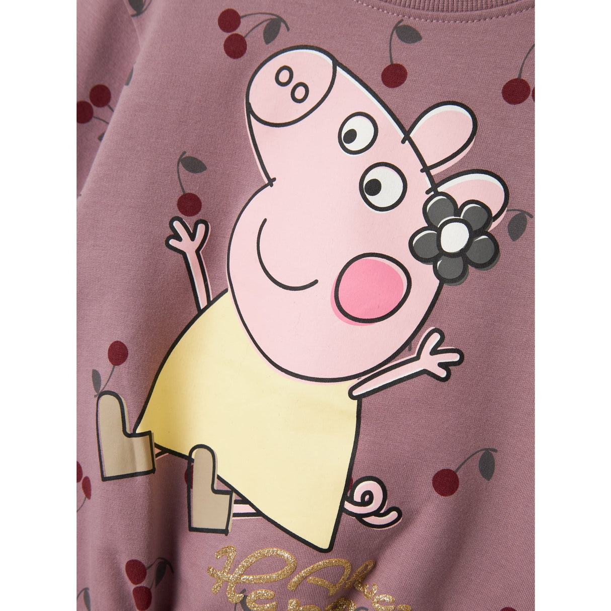 Name It Elderberry Damma Peppa Pig Regular Sweatshirt