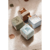 Little Dutch Forest Friends Blue Aktivitetsterninger 4-Pak