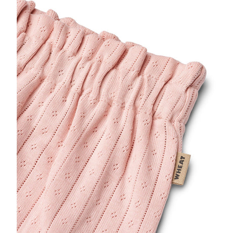 Wheat Rose Sprinkle Jersey Shorts Lace Sonja