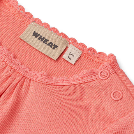 Wheat Lys Coral Rib Body L/S Lotta