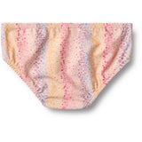 Wheat Multi Rainbow Bikini Carla