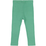 Petit Piao Green Spruce Leggings Modal