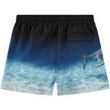 Molo Faded Shark Niko Boardies