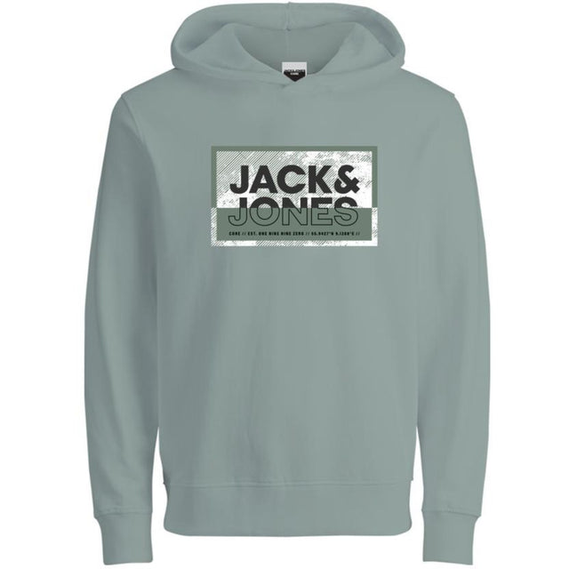 Jack & Jones Junior Aqua Gray Cologan Print Sweat Hættetrøje