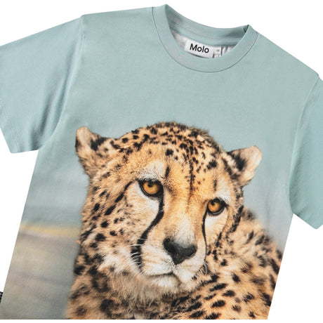 Molo Big Cheetah Blue Rubin T-Shirt