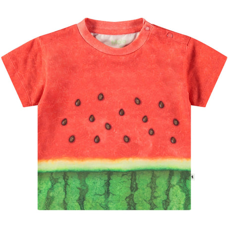 Molo Be A Melon Enzo T-Shirt
