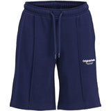Jack & Jones Junior Ocean Cavern Vesterbro Sweat Shorts