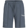 Jack & Jones Junior Stormy Weather Vesterbro Sweat Shorts