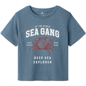 Name It Spring Lake Fabi Regular T-Shirt