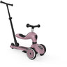 Scoot and Ride Wildberry Highwaykick 1 Push&Go Løbehjul