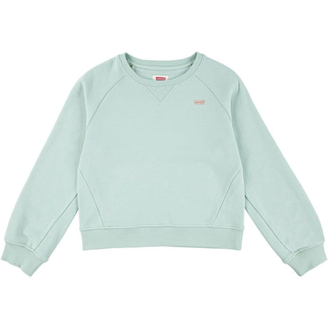 Levi's Celadon Lvg Levis Hd Silicone Batwing Sweatshirt