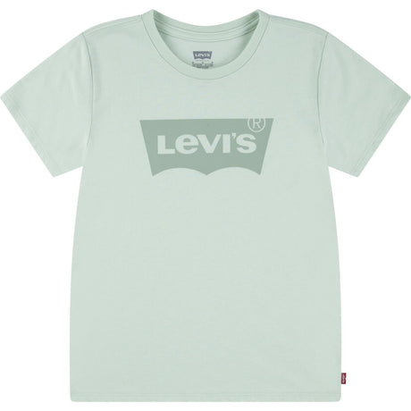 Levi's Celadon Lvg Batwing Tee