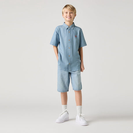 Levi's From Scratch No Destruction Lvb Skate Shorts