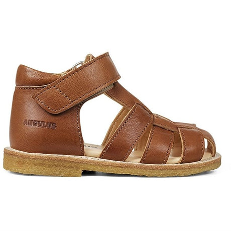 Angulus Begyndersandal M. Velcrolukning Cognac