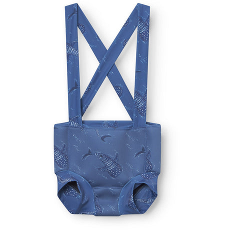 Mini A ture Whale-Sharks Kaspian Blebadebukser. GRS