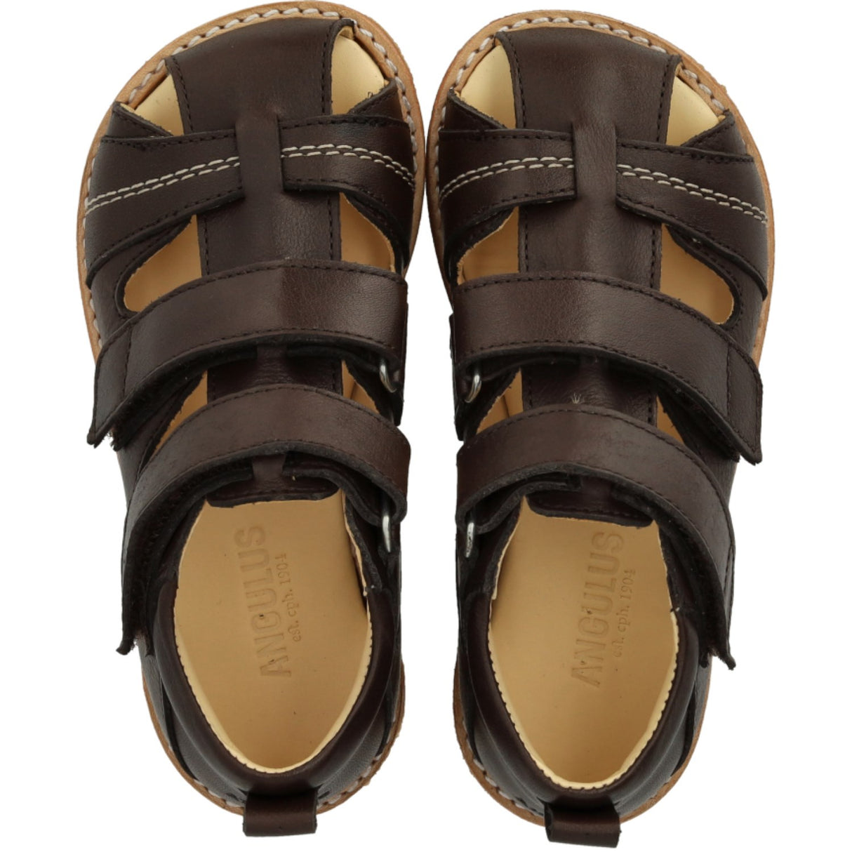 Angulus Dark Brown Begynder Sandal Med Velcrolukning