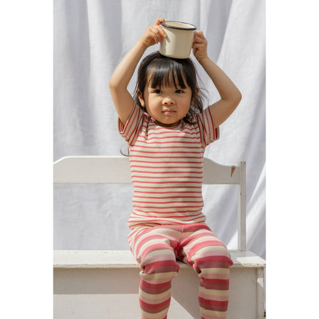 Petit Piao Light Berry/Dark Off White T-shirt S/S Modal Striped