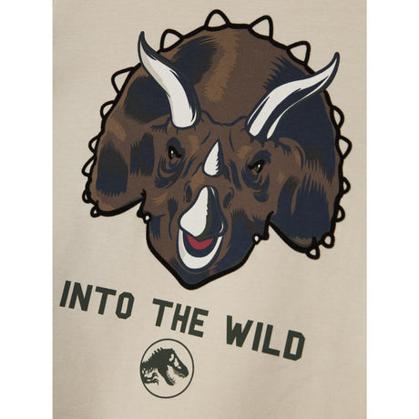 Name It Peyote Nmmjogger Jurassic Nreg Ss Top Box Sky