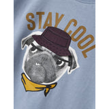 Name It Dusty Blue Nmmkai Ss Nreg Top Box