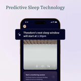 Owlet Babyalarm med Dream Strømpe og CAM2 i Mint Dream
