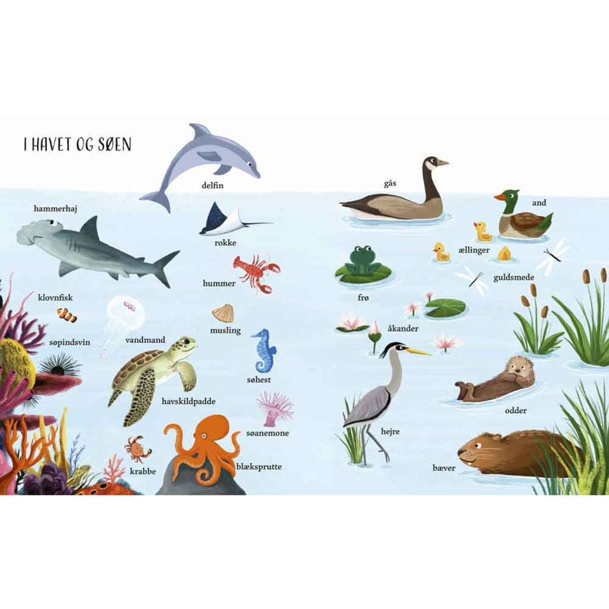 Forlaget Bolden Jeg Ser På: Naturen Med Min Store Billedordbog