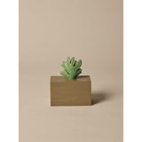 Ferm Living Mistletoe/Tan Harbour Box Coral