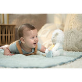 Ingenuity Sheppy™ The Sheep Calm Springs™ Plys Aktivitetslegetøj