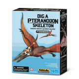 4M Udgrav Et Pteranodon-Skelet