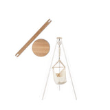 Moonboon Egetræskit