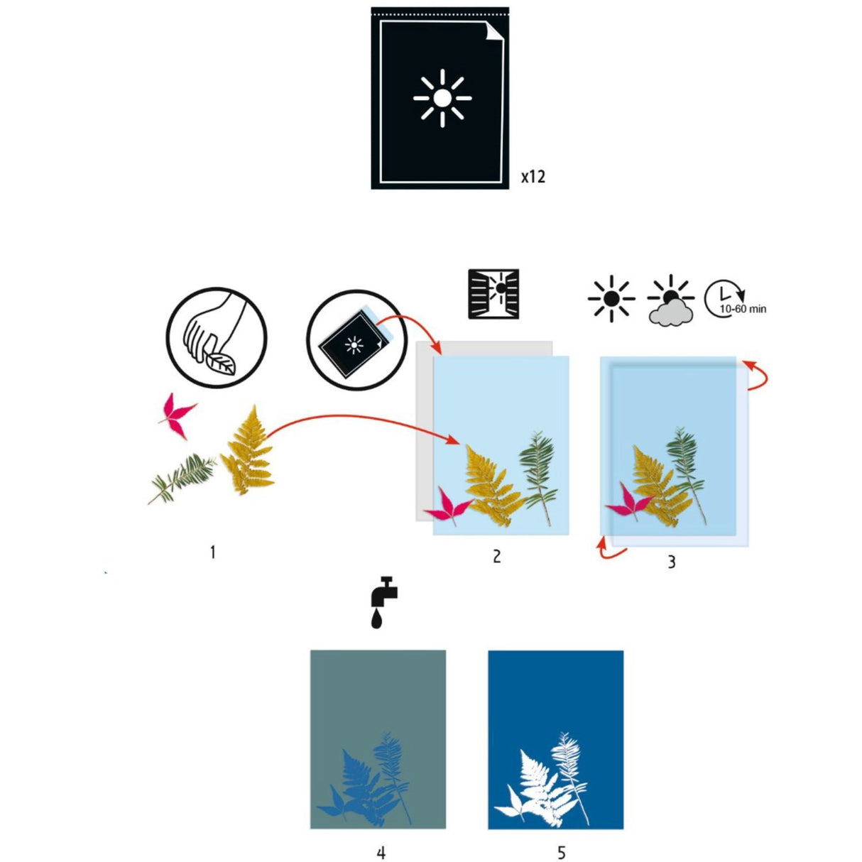 Djeco Cyanotype/Lystryk, Papir