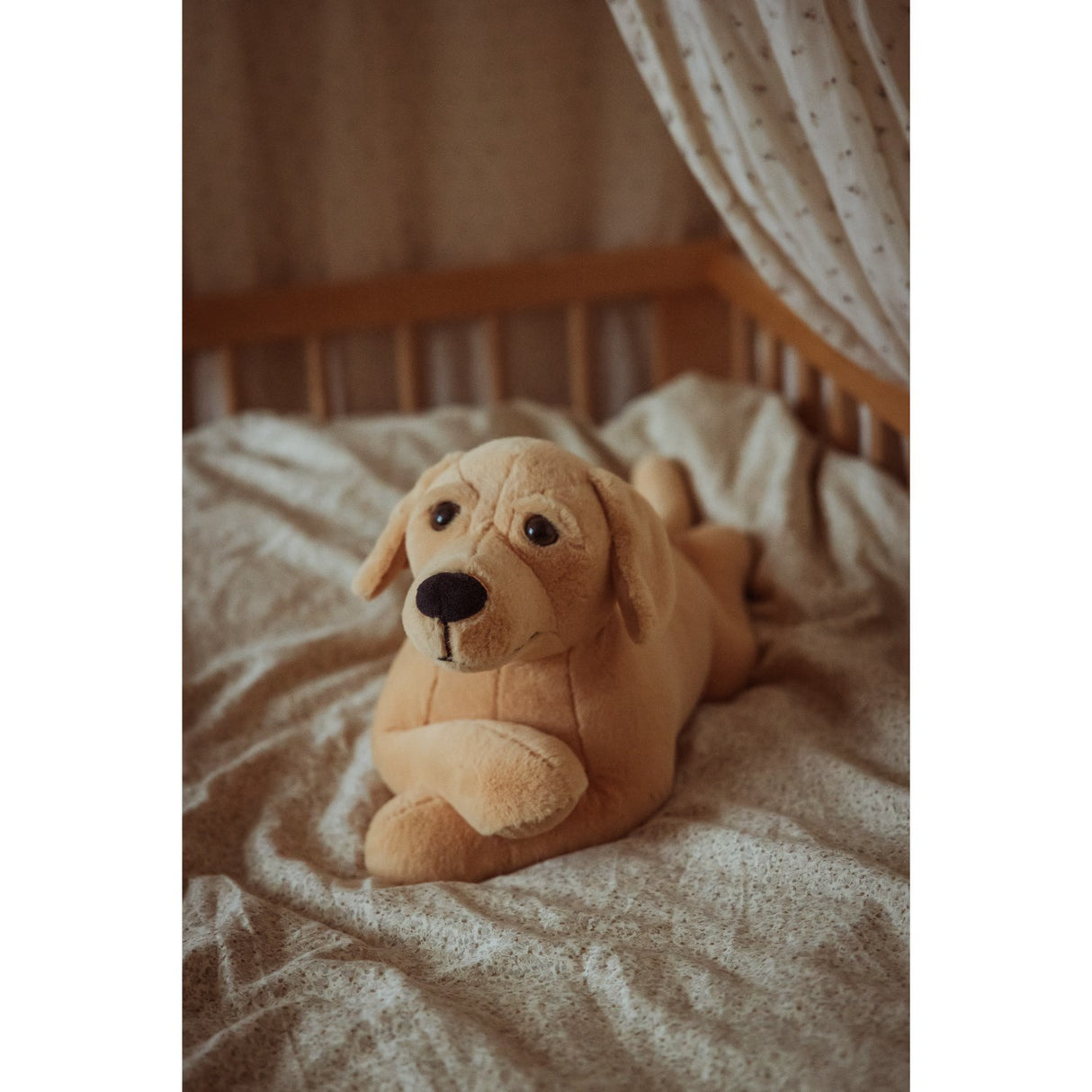 by Astrup Tyngdedyr, Hund, 2,2 Kg.