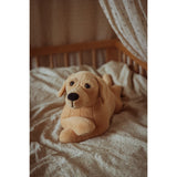 by Astrup Tyngdedyr, Hund, 2,2 Kg.