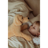 by Astrup Tyngdedyr, Hund, 2,2 Kg.