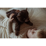 by Astrup Tyngdedyr, Kat, 1,2 Kg.