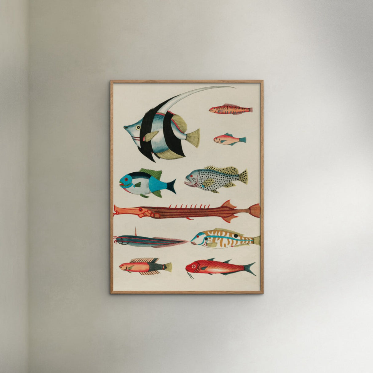 Poster & Frame Louis Renard - Colorful Fishes Lll