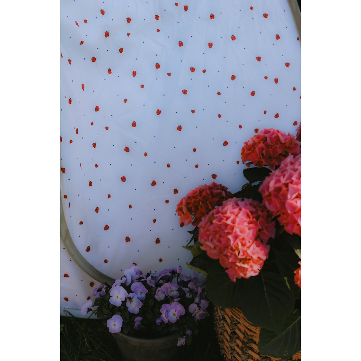 Vanilla COPENHAGEN English Rose - Lady Lovebug Pop-Up Telt Classic - UV50+