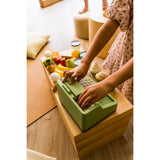 Dantoy Green Garden Kasseapparat Sæt I Æske