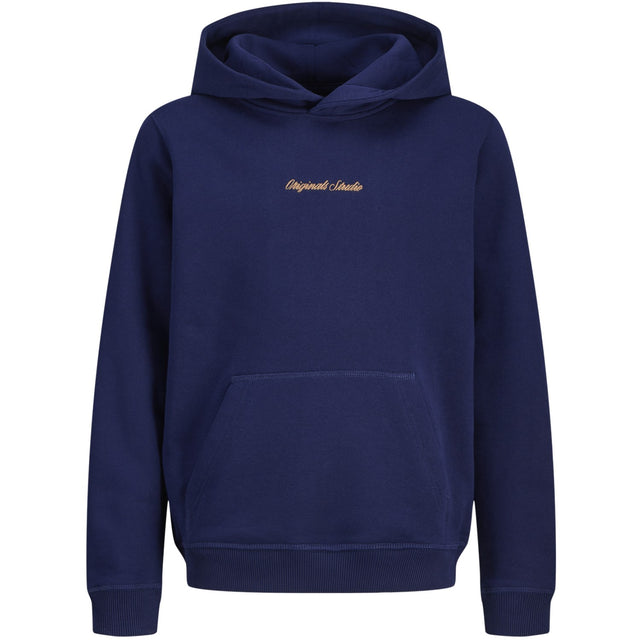 Jack & Jones Junior Ocean Cavern Jornorrebro Emb Sweat Hætte Noos Jnr