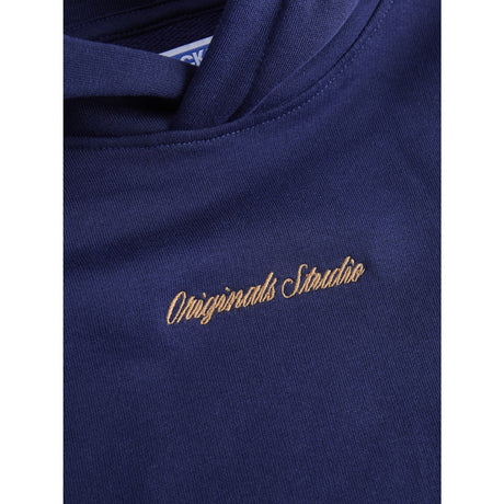 Jack & Jones Junior Ocean Cavern Jornorrebro Emb Sweat Hætte Noos Jnr