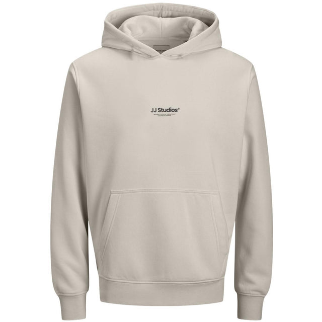 Jack & Jones Junior Moonbeam Jjesoho Sweat Hætte Noos Jnr