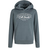 Jack & Jones Junior Stormy Weather Big Print Jjmakoto Sweat Hætte Jnr