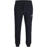 Jack & Jones Junior Sky Captain Jpstgordon Makoto Sweat Bukser Jnr