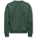 kids ONLY Pineneedle Collage Kogbila L/S Ovz Bjørn O-Neck Swt Noos