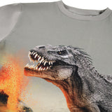 Molo Dinosaur Fog Rube Bluse